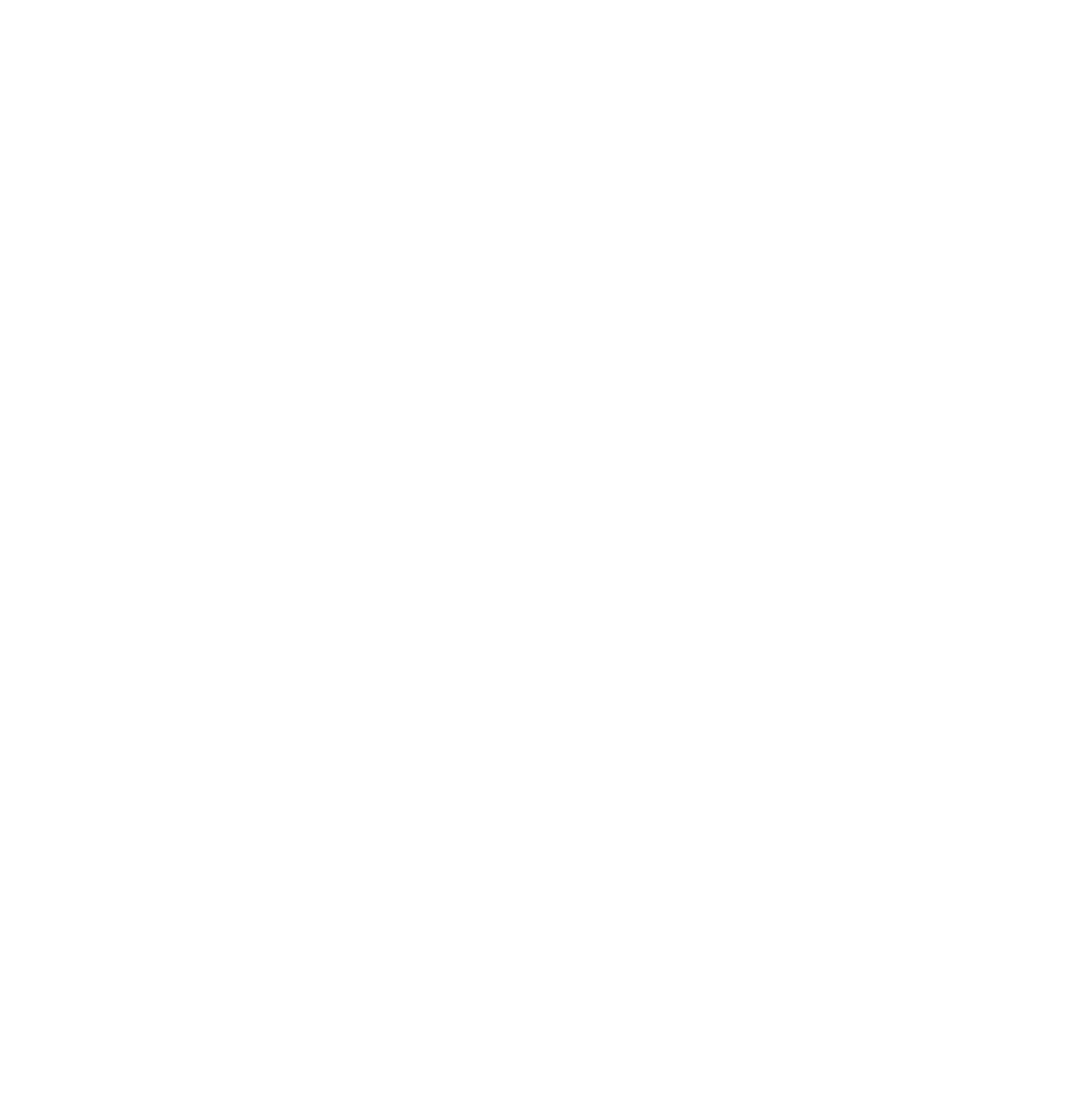 SAV Logo